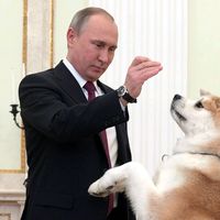 poutine.russia5