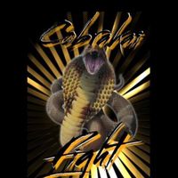 cobrakai.fight0