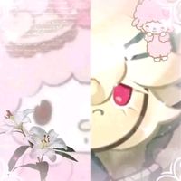 therealwhitelilycookie56