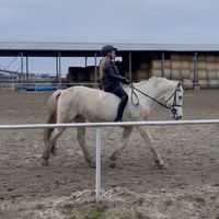 zsofiabalogh.and.barbi