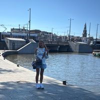 kelice_new