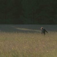 twdfan263