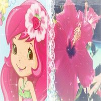 sof_lovesyouu