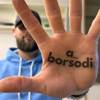 a_borsodi