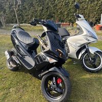 _speedy_jetty_