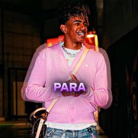 ae.para