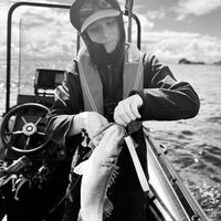 eolvfishing