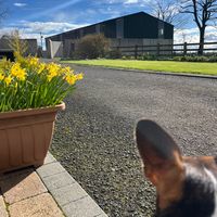 county_antrim_lad_
