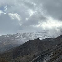 yaqinoffi