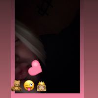 dnewestxx
