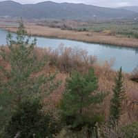 magdaant8