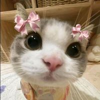 brunettygirl
