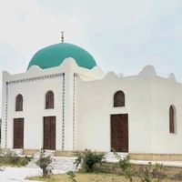 nejashi50