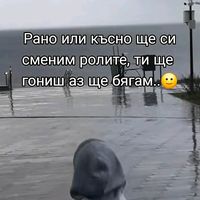 nemi.zqpai.profil6