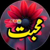 seema_writes6