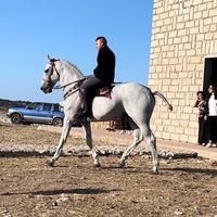 pietro.medas27