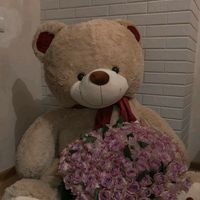 imelda.varga