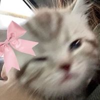 cool_girl1231626