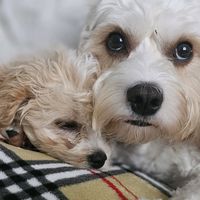 masie.maggie