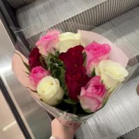 _leppanen1_