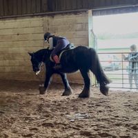 the_ponies_and_me