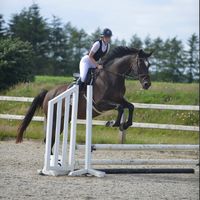 equestrian_jennifer