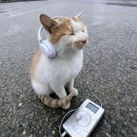 original sound