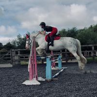 dressage_divas123