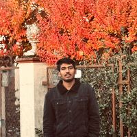 prince.rafi060