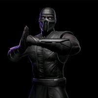 noob_saibot_edits.polska