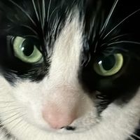 Mais non mais ce nest pas ce que je voulais