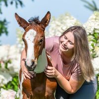 mizerkaequine