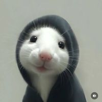 niewiemczemv