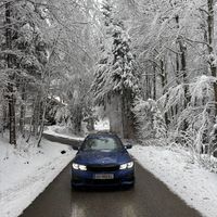 grdner.basti