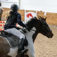 horse_rider096