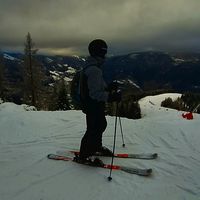 mate_1037