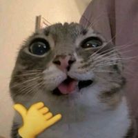 dnya_230