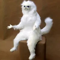 original sound - ambergur12