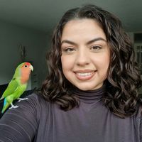 milo_thebirb