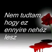csak.egylany647gmail.com