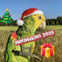 oryginalny dźwięk