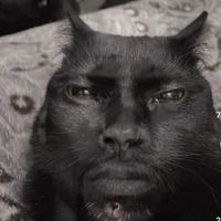 bobastaro