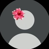 noemiewk9