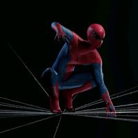 spider_zone