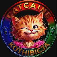 catcaine_kothibicja