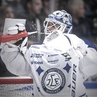 Allt för Leksands IF