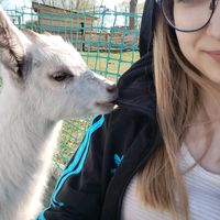 dźwięk oryginalny
