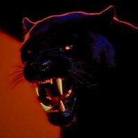 cipiraw69