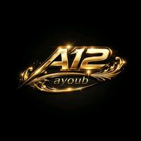 a12.___ayoub