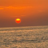 viski_1579